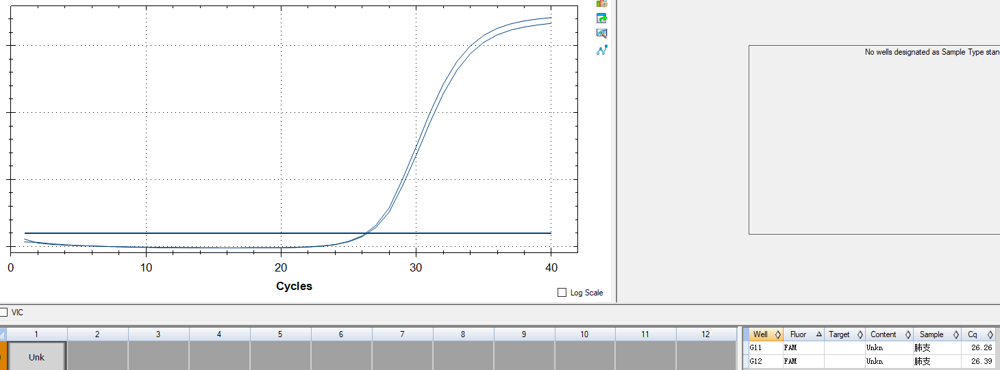 Mycoplasma pneumoniae nucleic acid detection kit (fluorescence PCR method)-BNCC
