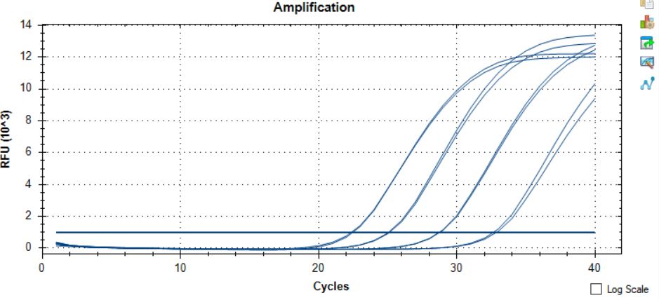 Human adenovirus type 14 nucleic acid detection kit (fluorescence PCR method)-BNCC