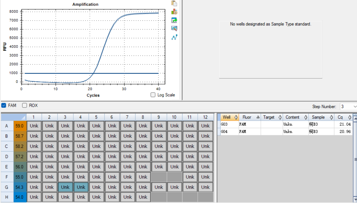 Human Coxsackievirus B3 nucleic acid reference substance (Heat-inactivated) (strongly positive)-BNCC