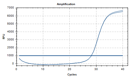 Human Adenovirus 26 DNA Standard-BNCC