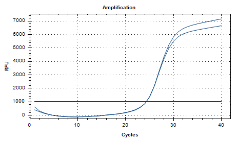 Human Adenovirus 26 DNA Standard-BNCC