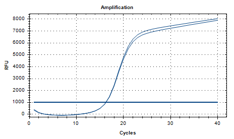 Human Adenovirus 26 DNA Standard-BNCC