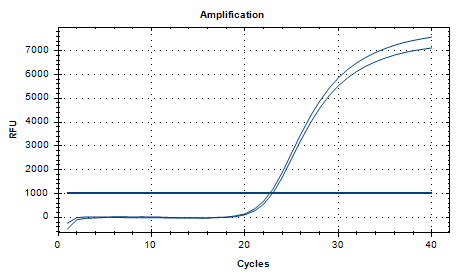 Staphylococcus aureus Nucleic Acid Detection Standard-BNCC
