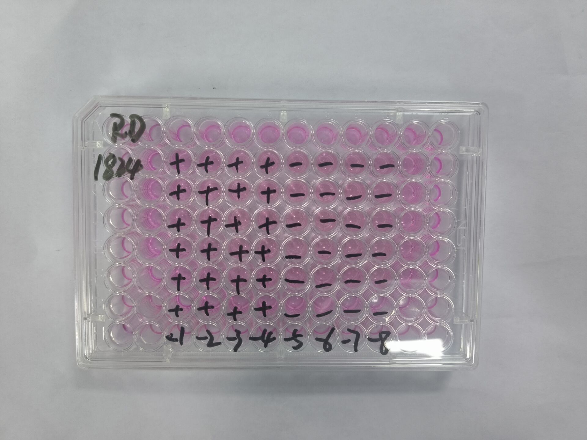 Enterovirus D68-BNCC