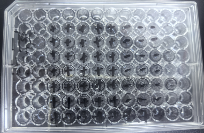 Human rhinovirus-BNCC