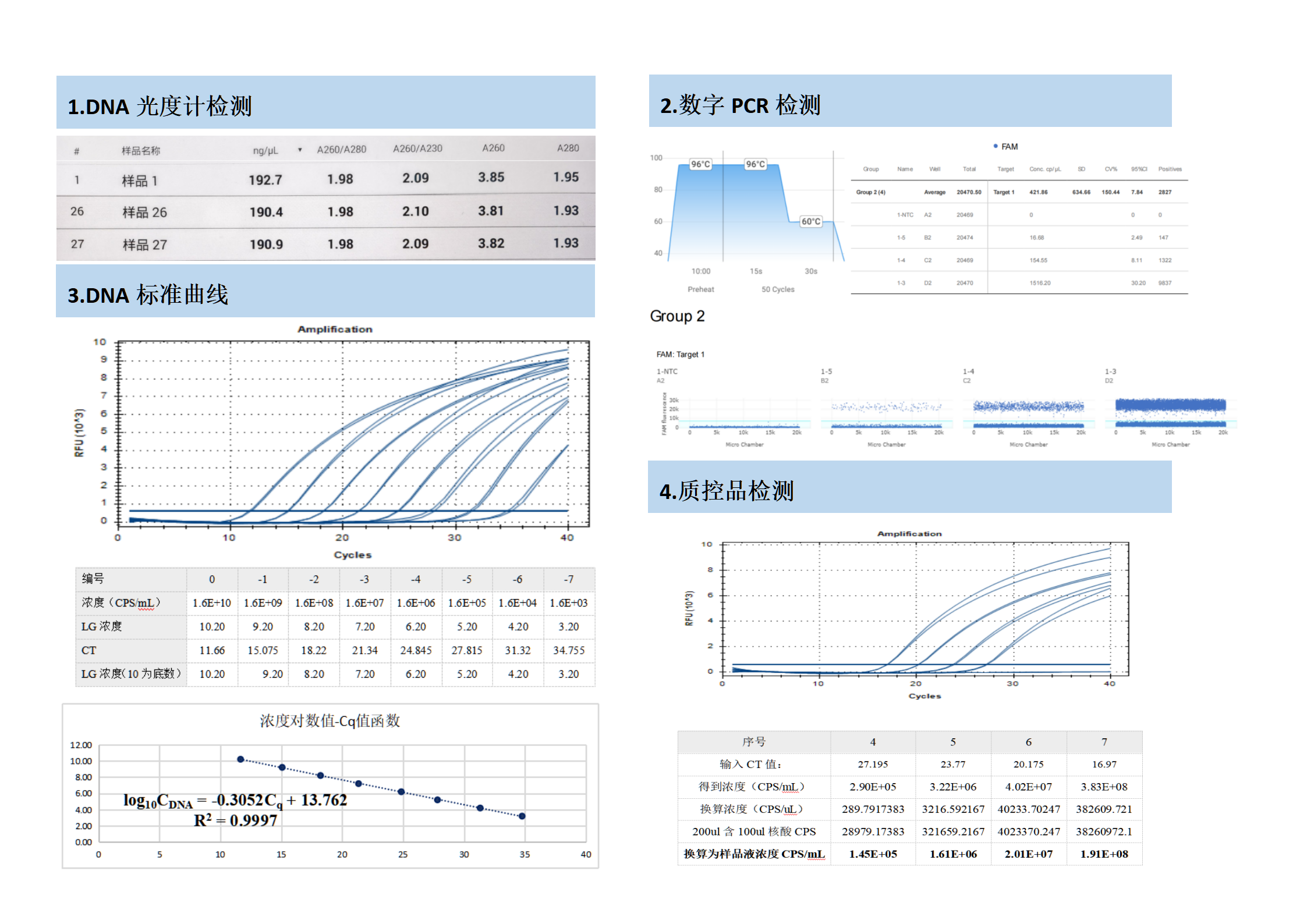 Salmonella typhimurium nucleic acid detection kit (fluorescence PCR method)-BNCC