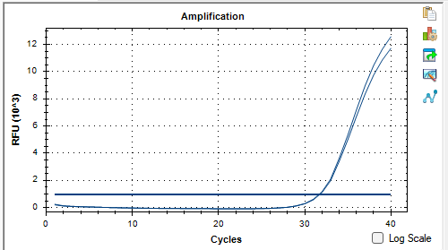 Nocardia asteroides DNA lab quality control-BNCC