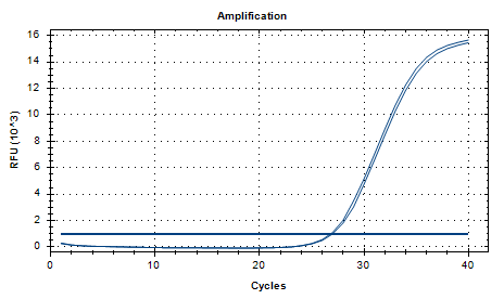 Shigella dysenteriae DNA Standard-BNCC