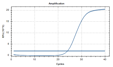 Shigella dysenteriae DNA Standard-BNCC