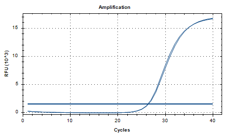 Intermediate Prevotella DNA Standard-BNCC
