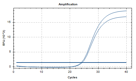 Intermediate Prevotella DNA Standard-BNCC