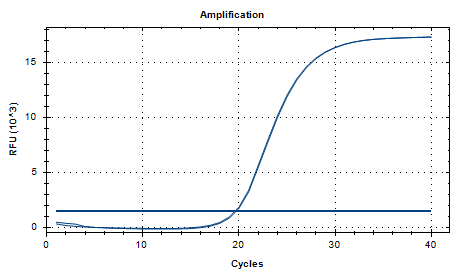 Intermediate Prevotella DNA Standard-BNCC