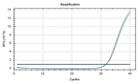 Acinetobacter calcoaceticus DNA lab quality control-BNCC