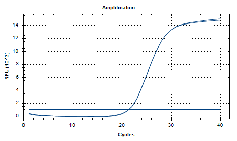 Acinetobacter calcoaceticus DNA lab quality control-BNCC