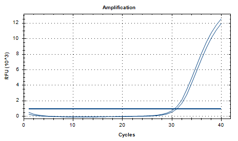 Human Adenovirus Type 42 DNA Standard-BNCC