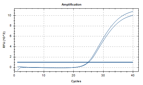 Micrococcus luteus DNA standard-BNCC