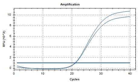 Pseudomonas aeruginosa DNA Standard-BNCC