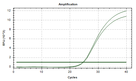 Enterobacter cloacae DNA standard-BNCC