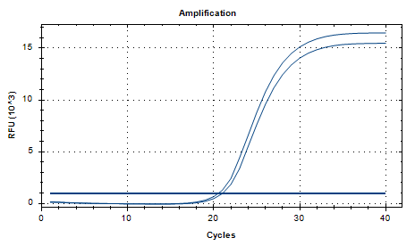 Legionella pneumophila DNA standard-BNCC