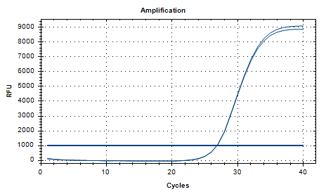 Aspergillus fumigatus DNA Standard-BNCC