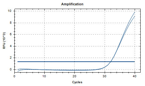 Human adenovirus type 12 DNA standard-BNCC