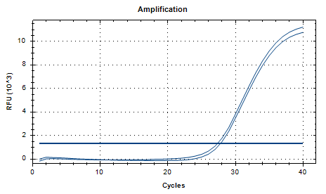Human adenovirus type 12 DNA standard-BNCC
