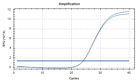 Human Adenovirus Type 12 DNA Standard-BNCC