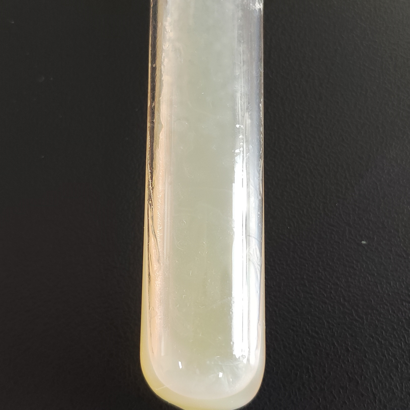 BS168 Bacillus subtilis-BNCC