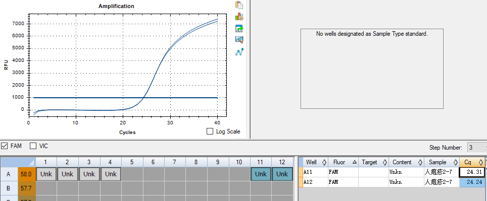Human herpesvirus type 2 DNA standard-BNCC