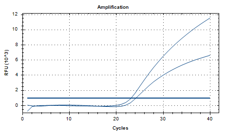 Salmonella Typhimurium Nucleic Acid Reference (Chemical inactivation) (Strong Positive)-BNCC
