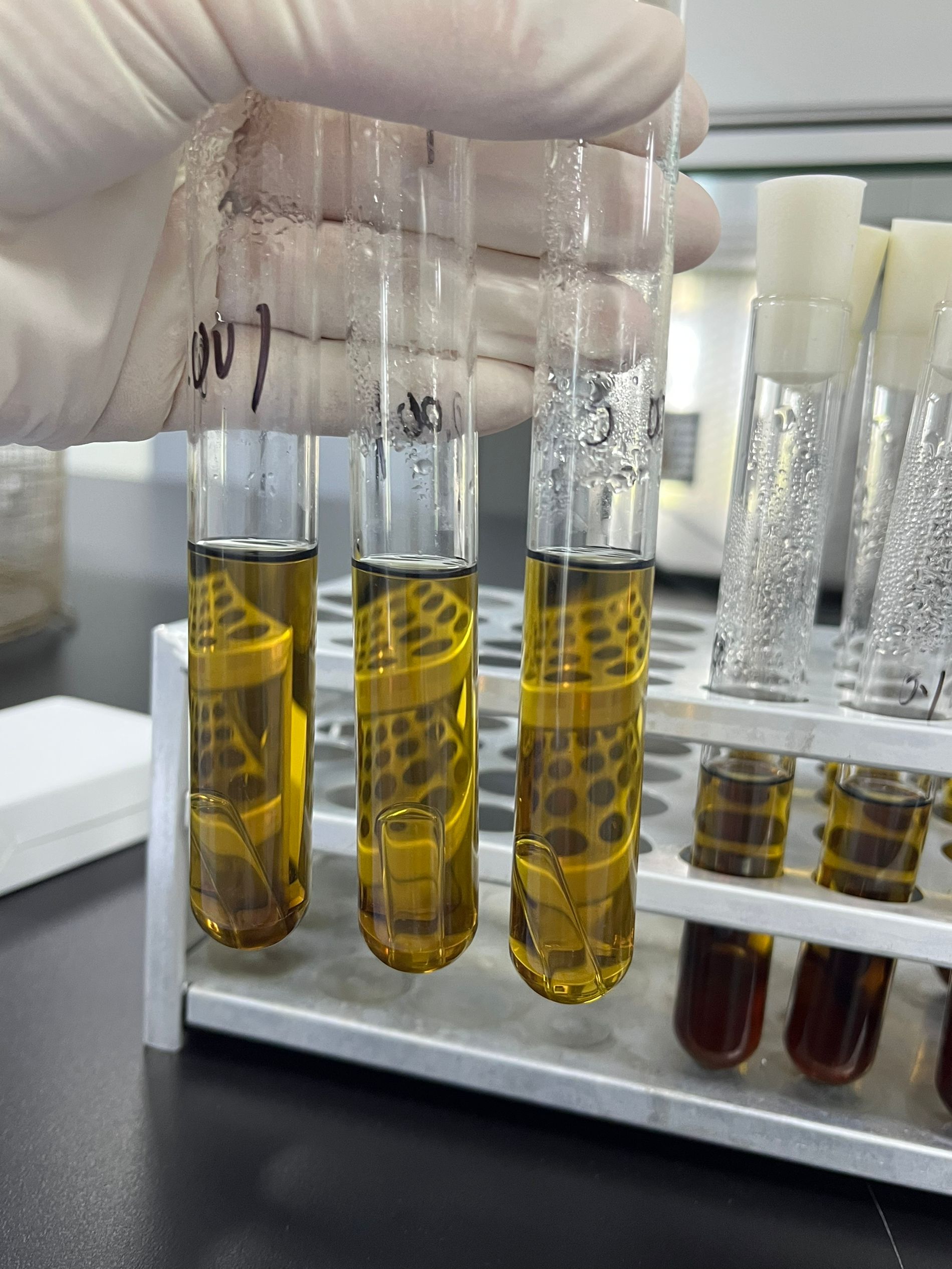 Drinking Water Enterococcus Quality Control Sample (Multi-tube Fermentation Method)-BNCC