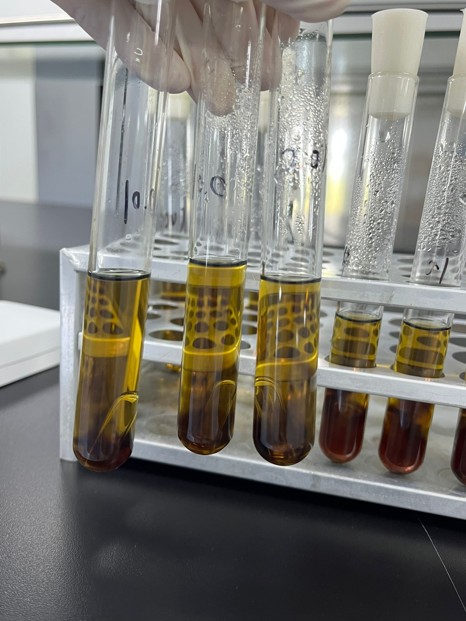 Drinking Water Enterococcus Quality Control Sample (Multi-tube Fermentation Method)-BNCC