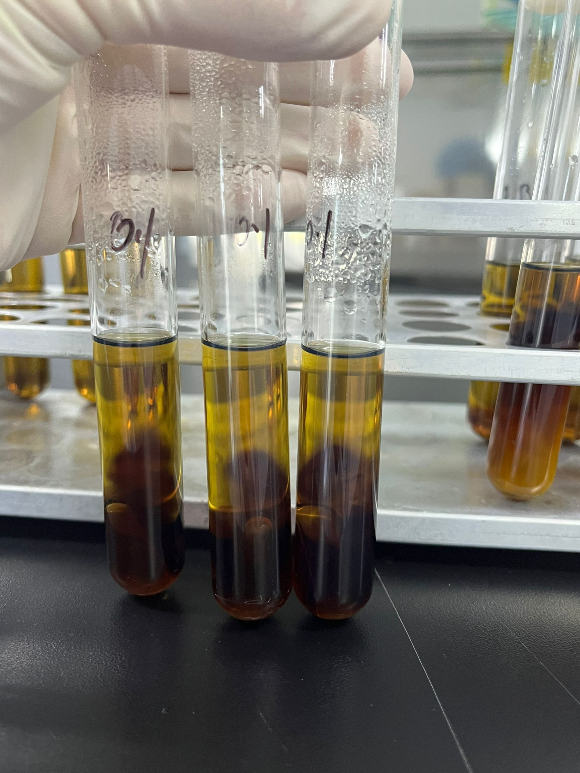 Drinking Water Enterococcus Quality Control Sample (Multi-tube Fermentation Method)-BNCC