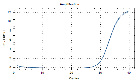 Rhinovirus 89 RNA Standard-BNCC