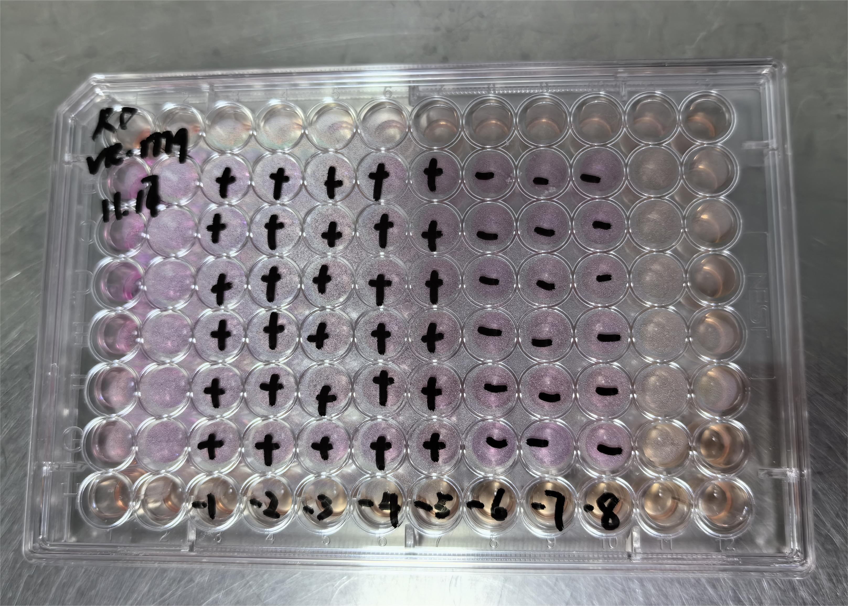 Human Coxsackievirus A3-BNCC