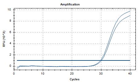 Mouse Actinobacillus DNA standard-BNCC