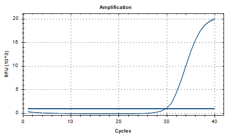 Bovine Respiratory Syncytial Virus RNA Liquid Internal Quality Control Material-BNCC