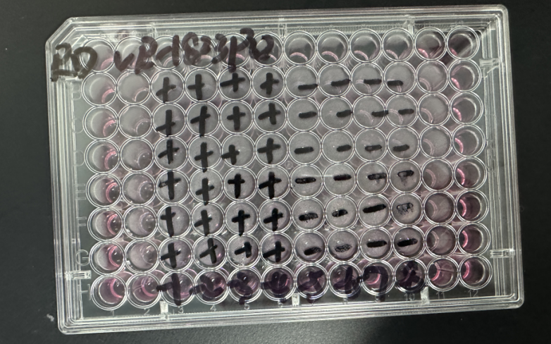 Enterovirus D68, High titer-BNCC