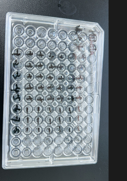 Human rhinovirus 6-BNCC