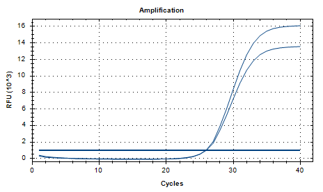 Constellation Streptococcus subsp. DNA standard-BNCC