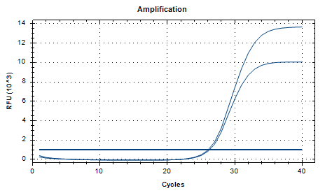Constellation Streptococcus subsp. DNA standard-BNCC