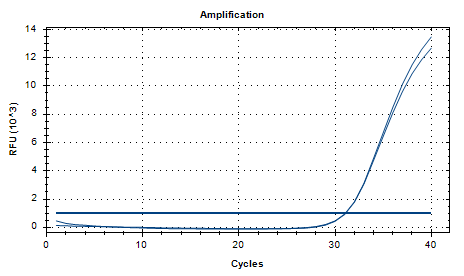 Human Adenovirus 16 DNA Standard-BNCC
