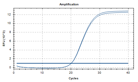 Human Adenovirus 16 DNA Standard-BNCC