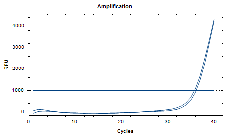 Human Adenovirus 19 DNA Standard-BNCC