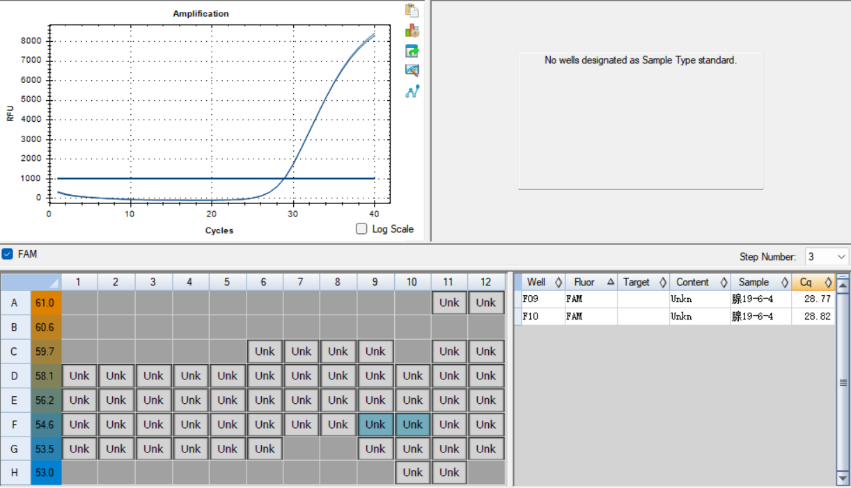 Human adenovirus type 19 DNA standard-BNCC