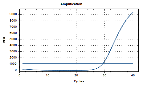 Human adenovirus type 19 DNA standard-BNCC