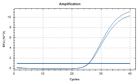Human Adenovirus 19 DNA Standard-BNCC