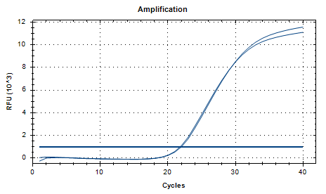Human Adenovirus 19 DNA Standard-BNCC