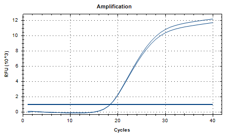 Human Adenovirus 19 DNA Standard-BNCC