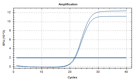 Bacillus licheniformis DNA Standard-BNCC